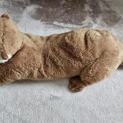 カワウソのぬいぐるみ 大の画像