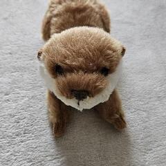 カワウソのぬいぐるみ