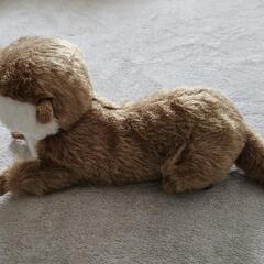 カワウソのぬいぐるみの画像