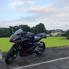 CBR250RR  　の画像