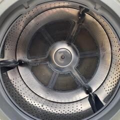 🌈東芝‼️ZABOON‼️9Kg🌟超節水🌟汚れに強い‼️叩き洗い‼️ドラム式洗濯機🌟当日配送🚚長期保証✨の画像