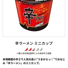 辛ラーメンmini 6個セット‼️の画像