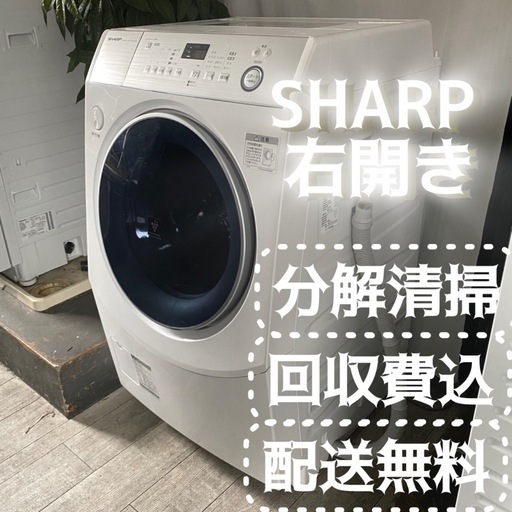 SHARP⭐️ちゃんと使えて綺麗なドラム式洗濯機を価格で選ぶならこれ✨✨快適な生活は食だけじゃなく洗濯が直結 まだ生乾きで部屋干しする