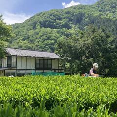 特別栽培農産物の画像