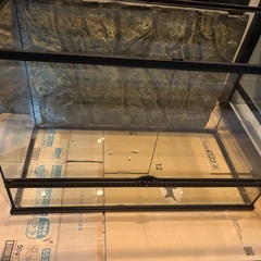 極美品✨PORTER ポーター エルファイン ショルダーバッグ 2層 Amazon.co.jp: [ポーター] エルファイン ショルダーバッグタテ 383