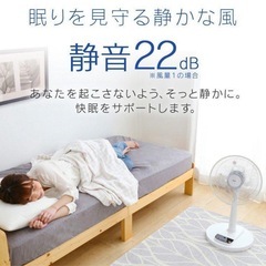 アイリスオーヤマ2022年製リモコン式 扇風機LFD-306L
 の画像