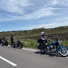 (E,H,L)  Harley-Davidson ツーリング仲間 募集中! - メンバー募集
