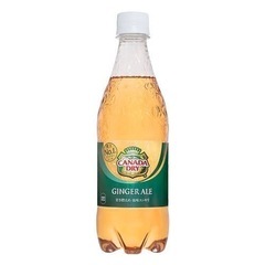 ジンジャーエール500ml