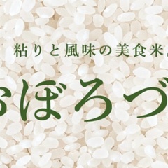 お米　おぼろづき　5kg