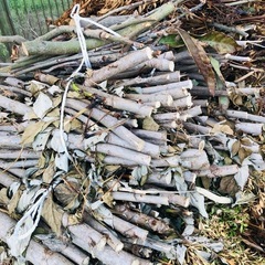 剪定後の木枝（椿、ナンテン、杉、竹など）の画像