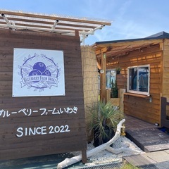 ブルーベリー直売＆カフェ営業