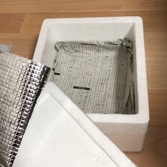 スマトラオオヒラタクワガタ　極太血統　幼虫　4匹
の画像