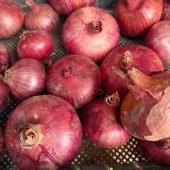 おばあちゃんちの無農薬野菜詰め合わせの画像