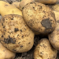 おばあちゃんちの無農薬野菜詰め合わせの画像