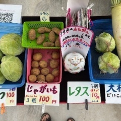 🥔新じゃが　🥬レタス　キャベツ　大根