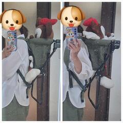 ベビーキャリアの画像
