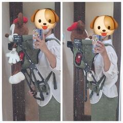 ベビーキャリアの画像