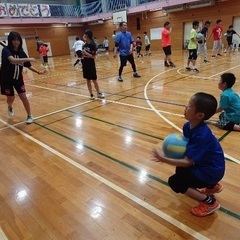 東京都大田区・小学生ドッジボールチーム「道塚ドリームウイングス」メンバー募集中☆ - 大田区