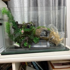 水槽、他アクセサリー