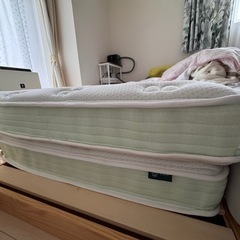 取引中-シングルサイズマットレスお譲りいたしますの画像