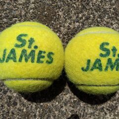 【USED】テニスボール163球 St.James + DUNLOP FORT 7球の画像