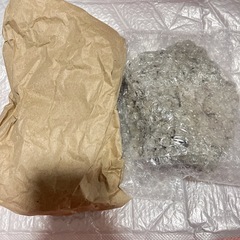 ［新品］デスロック・ライブロック 白化珊瑚礁の画像