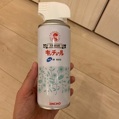 早い方優先【キンチョール 天然除虫菊スプレー】300円