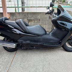 フォルッア08の画像