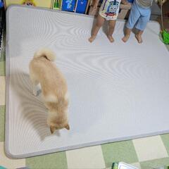 防音 プレイマット