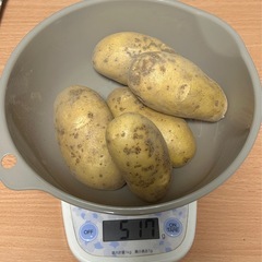 新じゃがメークイン500g6月7日収穫