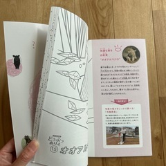 1冊100円　どうぶつぬりえ シールブック ミッフィーぬりえ の画像