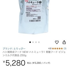 鳩の餌の画像