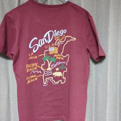 メンズTシャツの画像
