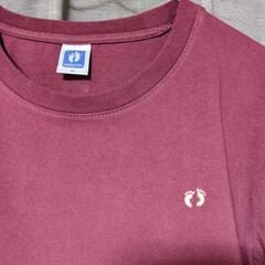 メンズTシャツの画像
