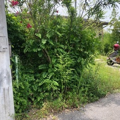 造園の経験がある方、手伝ってください🏡の画像