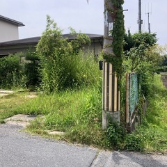 造園の経験がある方、手伝ってください🏡の画像