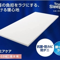 【お譲り先が決まりました！】トゥルースリーパー　　セミダブル