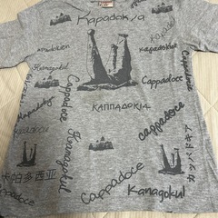 Tシャツ130の画像
