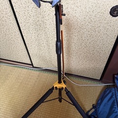 チェロ(スズキ)の画像