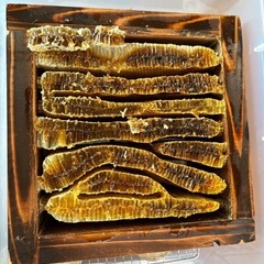 日本ミツバチの生ハチミツ200gです。の画像