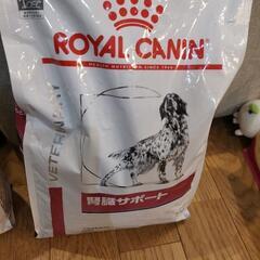 犬用フード、おむつ、ケージ等、5万円相当