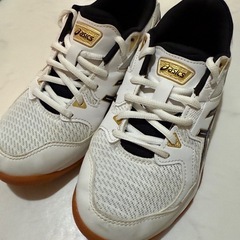 美品 asics室内シューズ23.5cmの画像