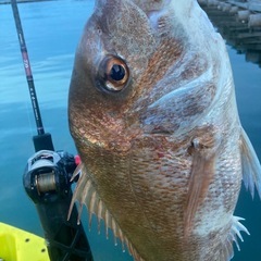 釣りコミュニティ始動！