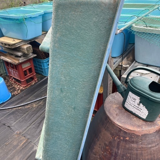 (((((値下げ)))))大型水槽
らんちゅう、メダカ、金魚すくい、屋台