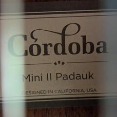Cordoba Mini II Padauk ミニギター ほぼ未使用の画像