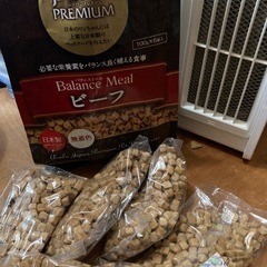 犬の餌（お話中）の画像