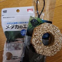 メダカ飼育セットの画像