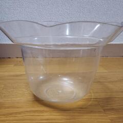 メダカ飼育セットの画像
