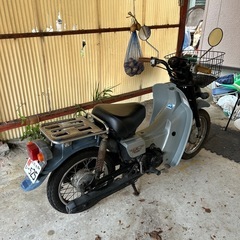 スズキ　バーディー　50cc