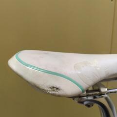 ブリヂストン　クロスバイクAF748（シルヴァ）の画像